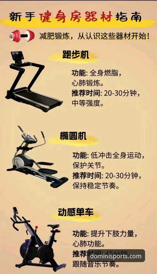 新手必看：多米体育娱乐体验必备的设备与操作指南是什么？