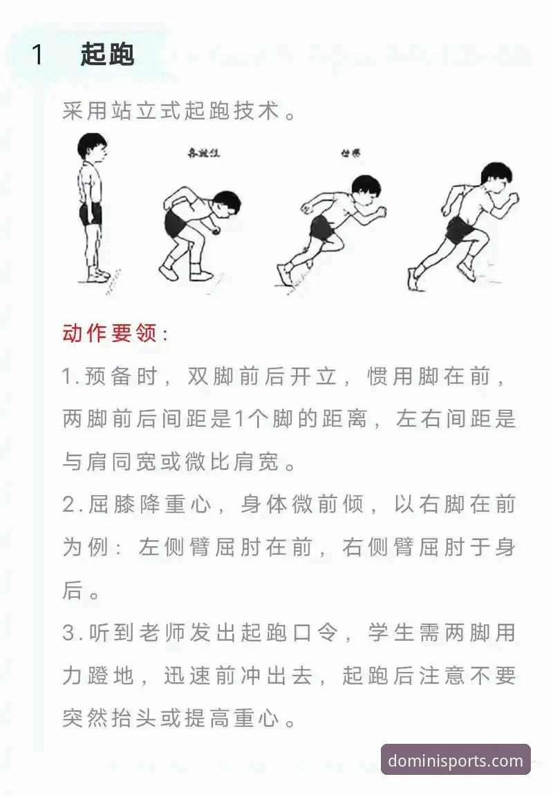 5个关键步骤确保多米体育安全登录：从入门到精通